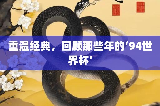 重温经典，回顾那些年的眉山市正发家政服务有限公司‘94世界杯’
