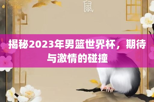 揭秘2023年男篮世界杯，期待与激情的碰撞