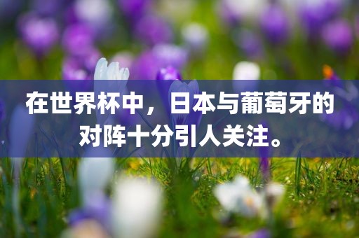 在世界杯中，日本与葡萄牙的对阵十分引人关注。