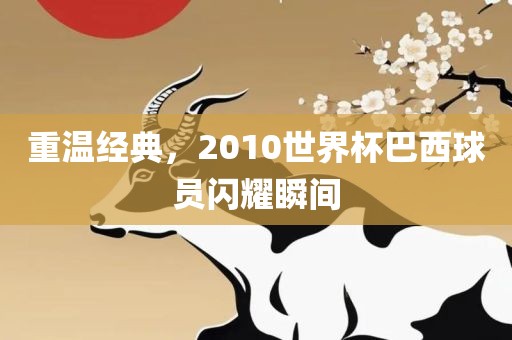 重温经典，2010世界杯巴西球员闪耀瞬间