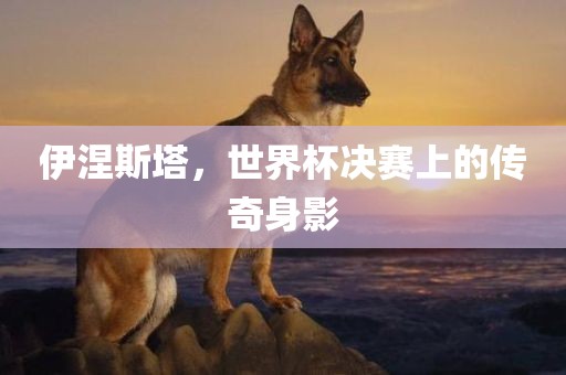 伊涅斯塔，世界杯决赛上的传奇身影