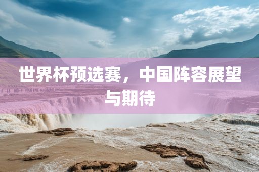 世界杯预选赛，中国阵容展望与期待