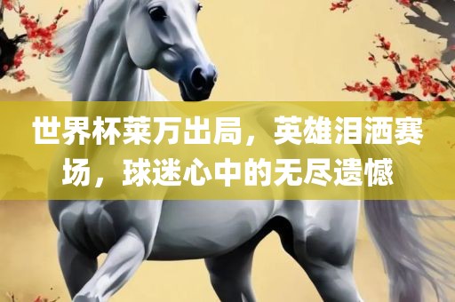 世界杯莱万出局，英雄泪洒赛场，球迷心中的无尽遗憾