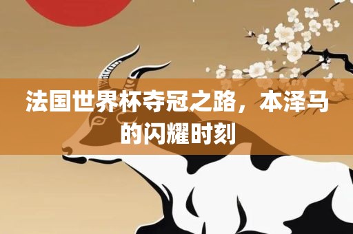 法国世界杯夺冠之路，本泽马的闪耀时刻