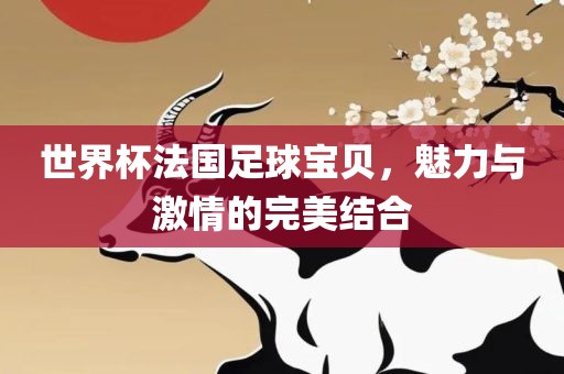 世界杯法国足球宝贝，魅力与激情的完美结合