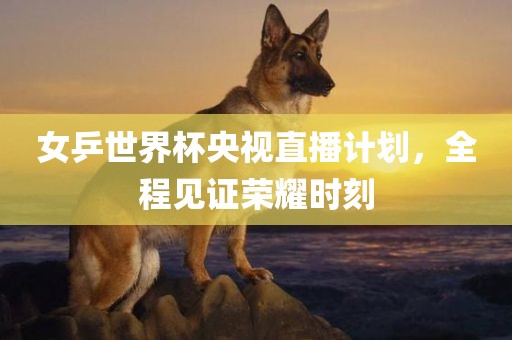 女乒世界杯央视直播计划，全程见证荣耀时刻