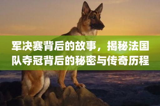 军决赛背后的故事，揭秘法国队夺冠背后的秘密与传奇历程