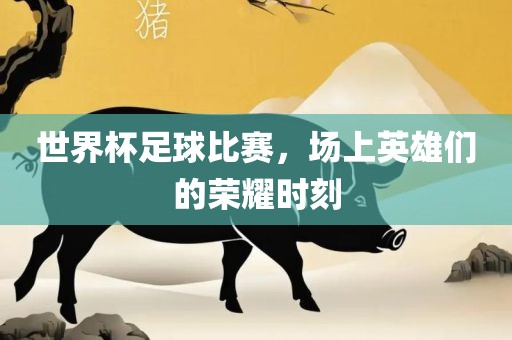 世界杯足球比赛，场上英雄们的荣耀时刻