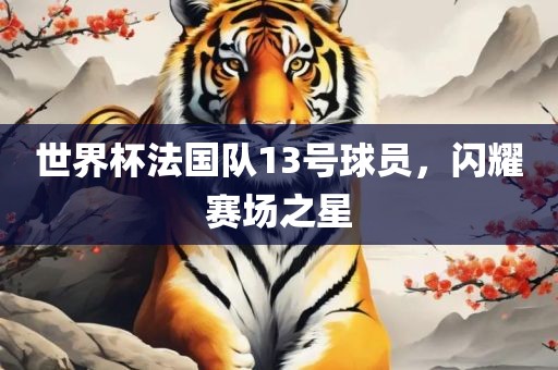 世界杯法国队13号球员，闪耀赛场之星