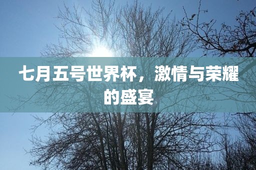 七月五号世界杯，激情与荣耀的盛宴