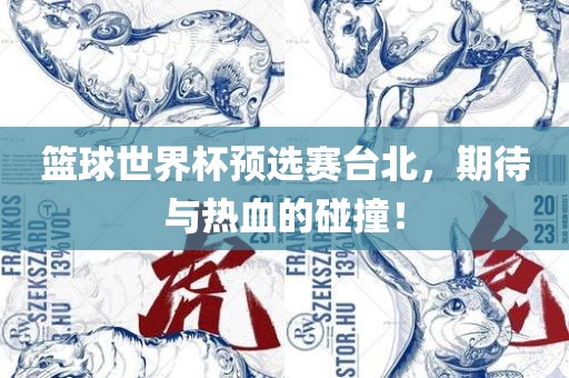 篮球世界杯预选赛台北，期待与热血的碰撞！