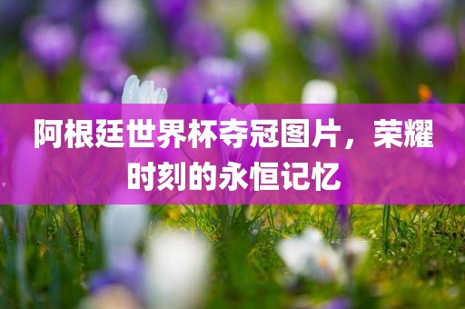 阿根廷世界杯夺冠图片，荣耀时刻的永恒记忆