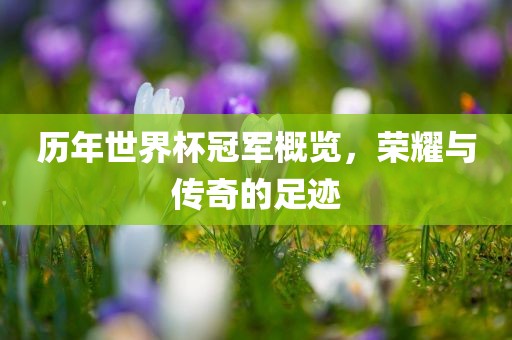 历年世界杯冠军概览，荣耀与传奇的足迹