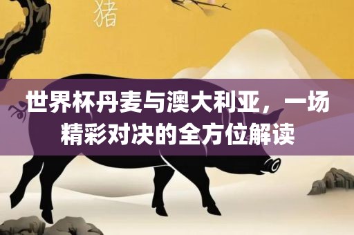 世界杯丹麦与澳大利亚，一场精彩对决的全方位解读