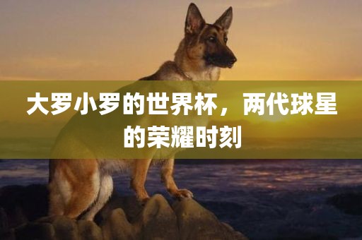 大罗小罗的世界杯，两代球星的荣耀时刻