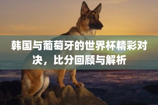 韩国与葡萄牙的世界杯精彩对决，比分回顾与解析