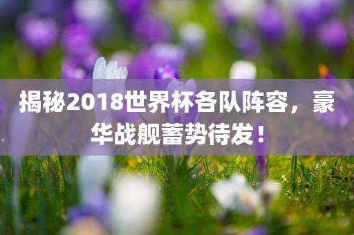 揭秘2018世界杯各队阵容，豪华战舰蓄势待发！