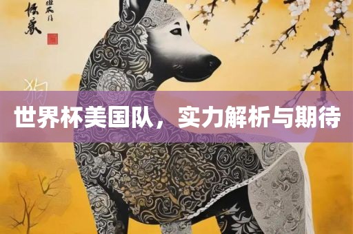 世界杯美国队，实力解析与期待眉山市正发家政服务有限公司