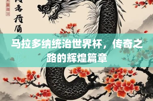 马拉多纳统治世界杯，传奇之路的辉煌篇章