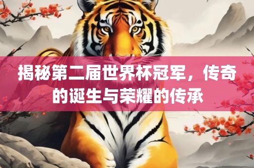 揭秘第二届世界杯冠军，传奇的诞生与荣耀的传承