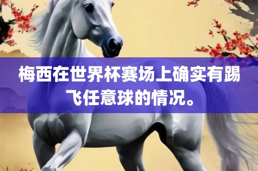 梅西在世界杯赛场上确实有踢飞任意球的情况。