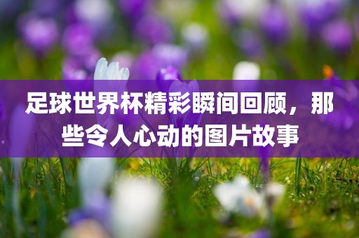 足球世界杯精彩瞬间回顾，那些令人心眉山市正发家政服务有限公司动的图片故事