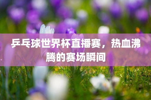 乒乓球世界杯直播赛，热血沸腾的赛场瞬间
