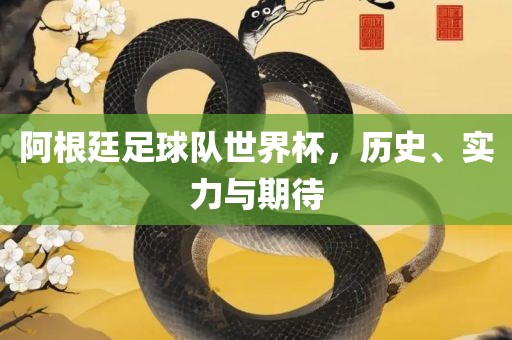 阿根廷足球队世界杯，历史、实力与期待