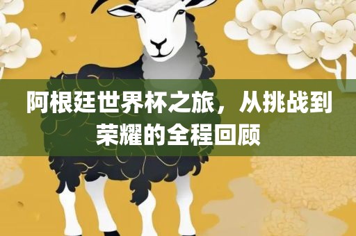 阿根廷世界杯之旅，从挑战到荣耀的全程回顾