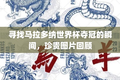 寻找马拉多纳世界杯夺冠的瞬间，珍贵图片回顾