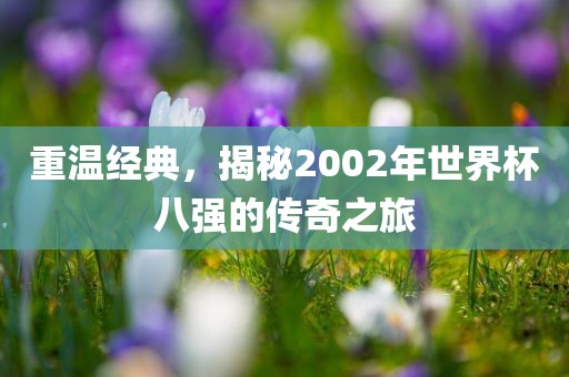 重温经典，揭秘2002年世界杯八强的传奇之旅