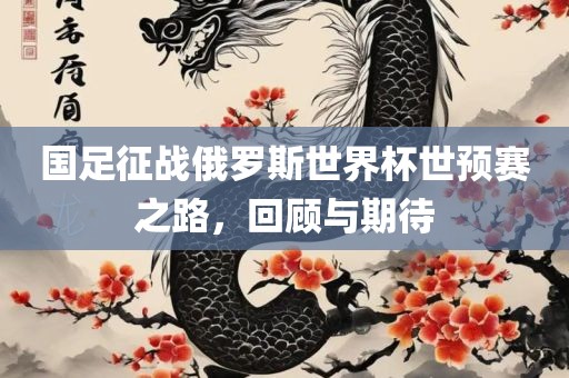 国足征战俄罗斯世界杯世预赛之路，回顾与期待