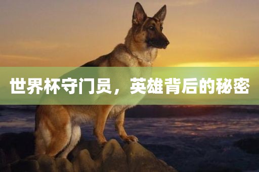 世界杯守门员，英雄背后的秘密