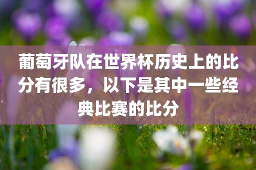 葡萄牙队在世界杯历史上的比分有很多，以下是其中一些经典比赛的比分