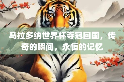 马拉多纳世界杯夺冠回国，传奇的瞬间，永恒的记忆