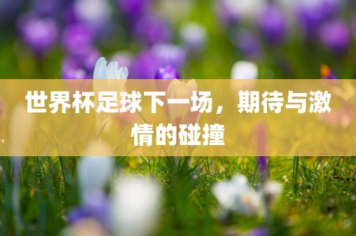 世界杯足球下一场，期待与激情的碰撞