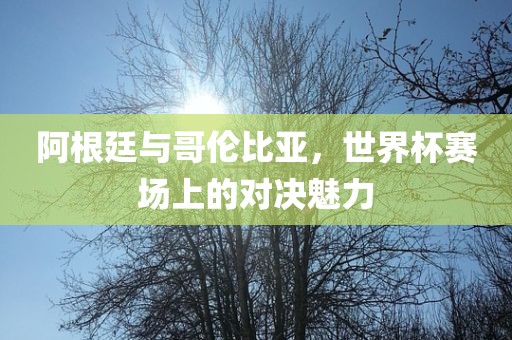 阿根廷与哥伦比亚，世界杯赛场上的对决魅力