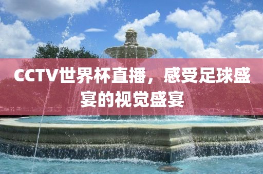 CCTV世界杯直播，感受足球盛宴的视觉盛宴