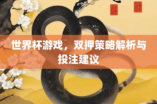 世界杯游戏，双押策略解析与投注建议