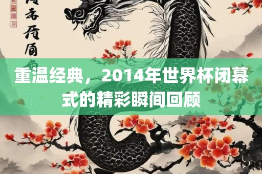重温经典，2014年世界杯闭幕式的精彩瞬间回顾