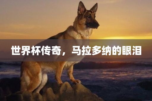 世界杯传奇，马拉多纳的眼泪