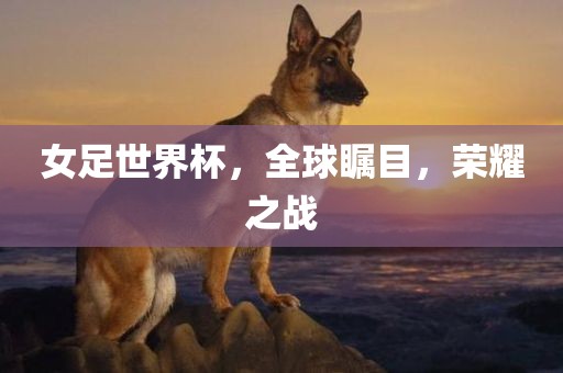 女足世界杯，全球瞩目，荣耀之战