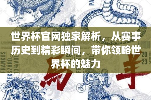 世界杯官网独家解析，从赛事历史到精彩瞬间，带你领略世界杯的魅力眉山市正发家政服务有限公司