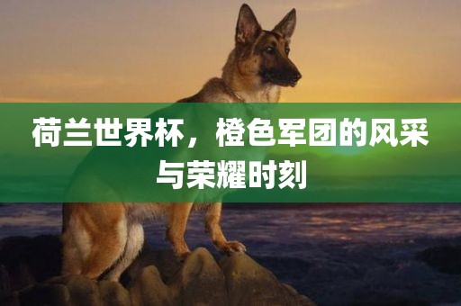 荷兰世界杯，橙色军团的风采与荣耀时刻