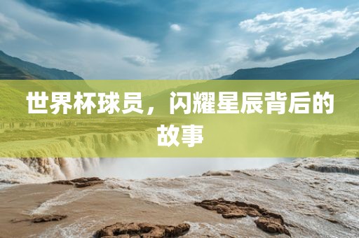 世界杯球员，闪耀星辰背后的故事