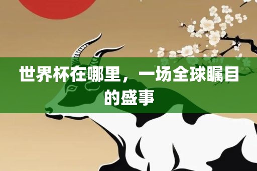 世界杯在哪里，一场全球瞩目的盛事