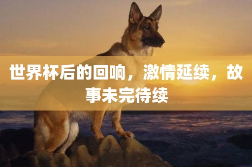世界杯后的回响，激情延续，故事未完待续