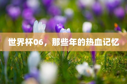 世界杯06，那些年的热血记忆