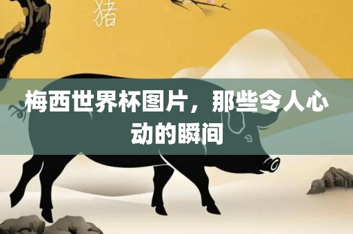 梅西世界杯图片，那些令人心动的瞬间