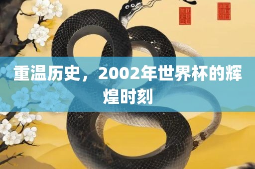 重温历史，2002年世界杯的辉煌时刻